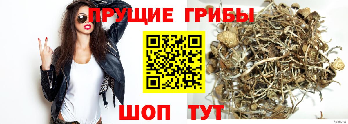 МАРИХУАНА Тосно