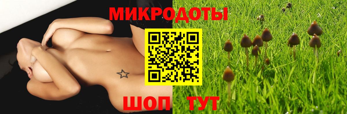 Галлюциногенные грибы Cubensis  Вход с VPN  Тосно 